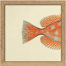 Small Prints 15 x 15cm Framed (FISH)